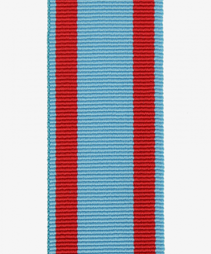 Hesse-Darmstadt, General Decoration of Honour, Military Medical Cross, War Ribbon (288)